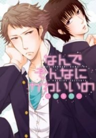 Nande Sonna ni Kawaii no
