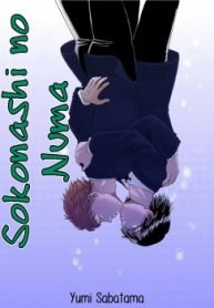 Sokonashi no numa