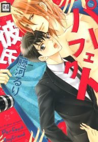 Perfect Kareshi