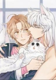 My One and Only Cat