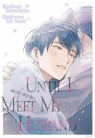 Until I Meet my Husband