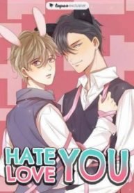 Hate You, Love You