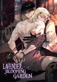 Lavender blooming Garden