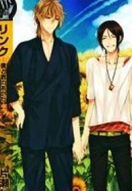 Link – Boku to Kimi no Aida
