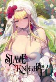 Slave Knight of the Elf