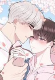 Don’t Cry, Sunbae !