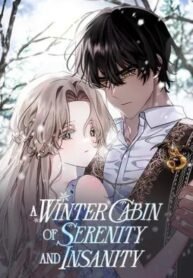 A Winter Cabin of Serenity and Insanity
