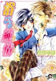 Abiru Junjou